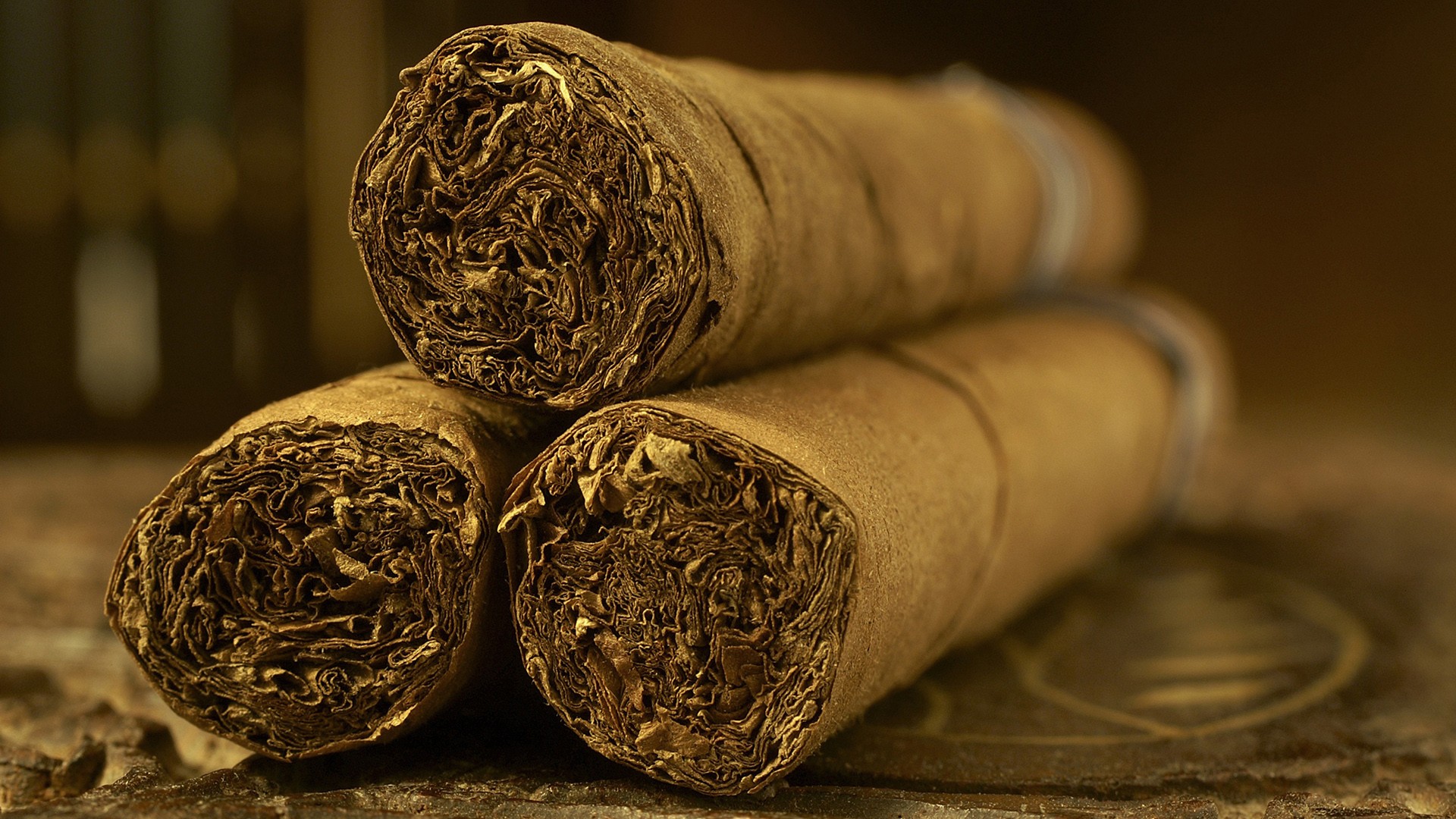 Copperhead — Connecticut Robusto