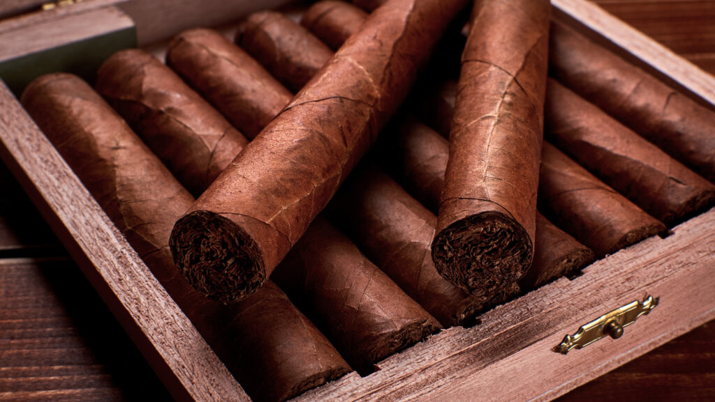 Hand-rolled cigars resting in their box